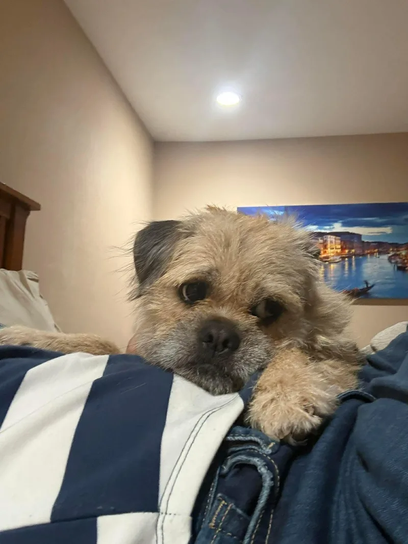 Stan thumbnail 2