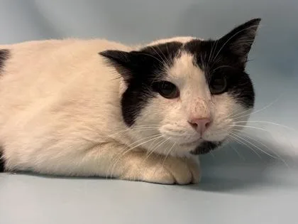 Tom