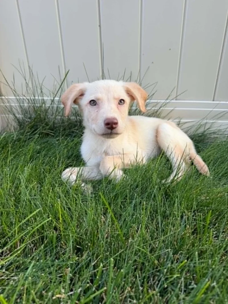Hazel Baby thumbnail 2