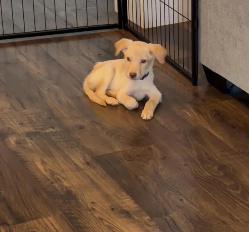 Hazel Baby thumbnail 3