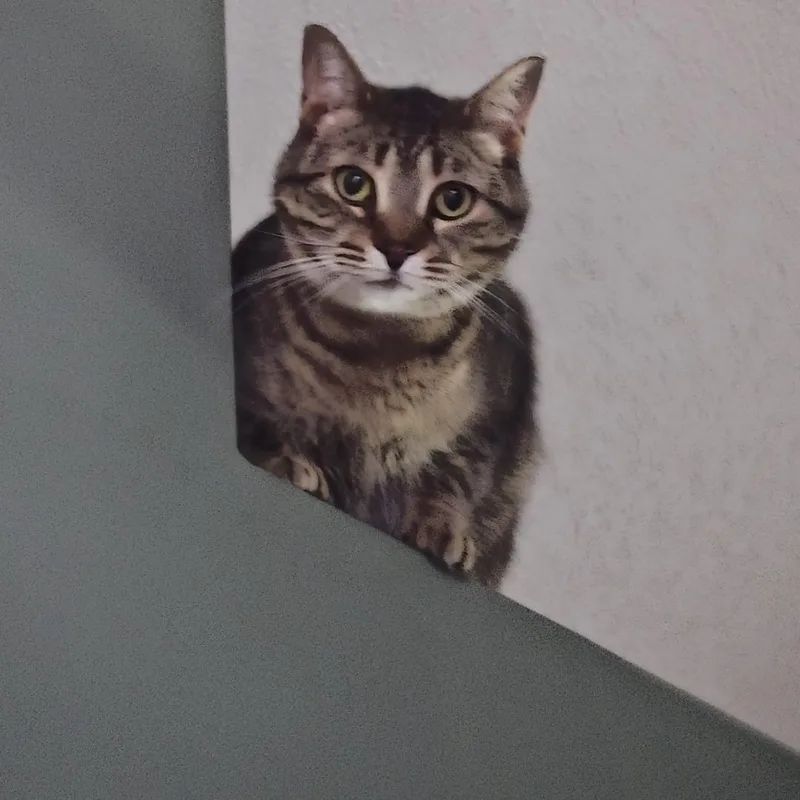 Tiki