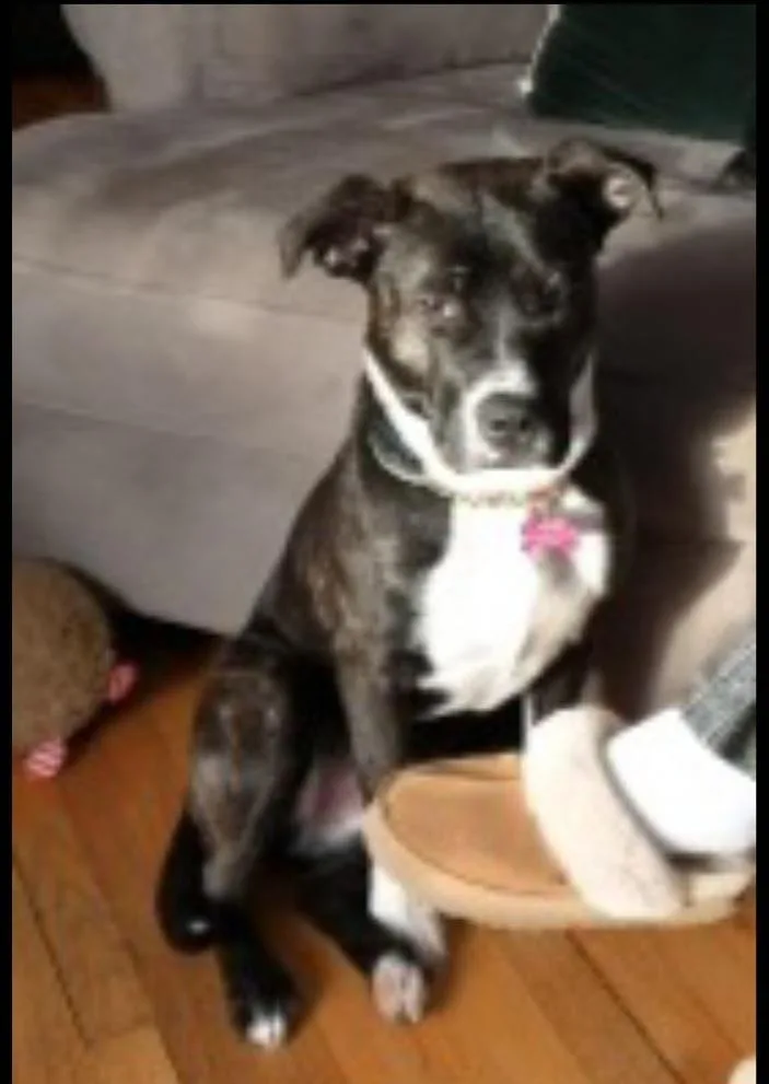 Phoebe  Scroll To thumbnail 2