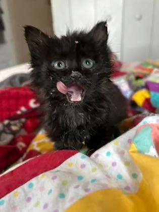 Luna