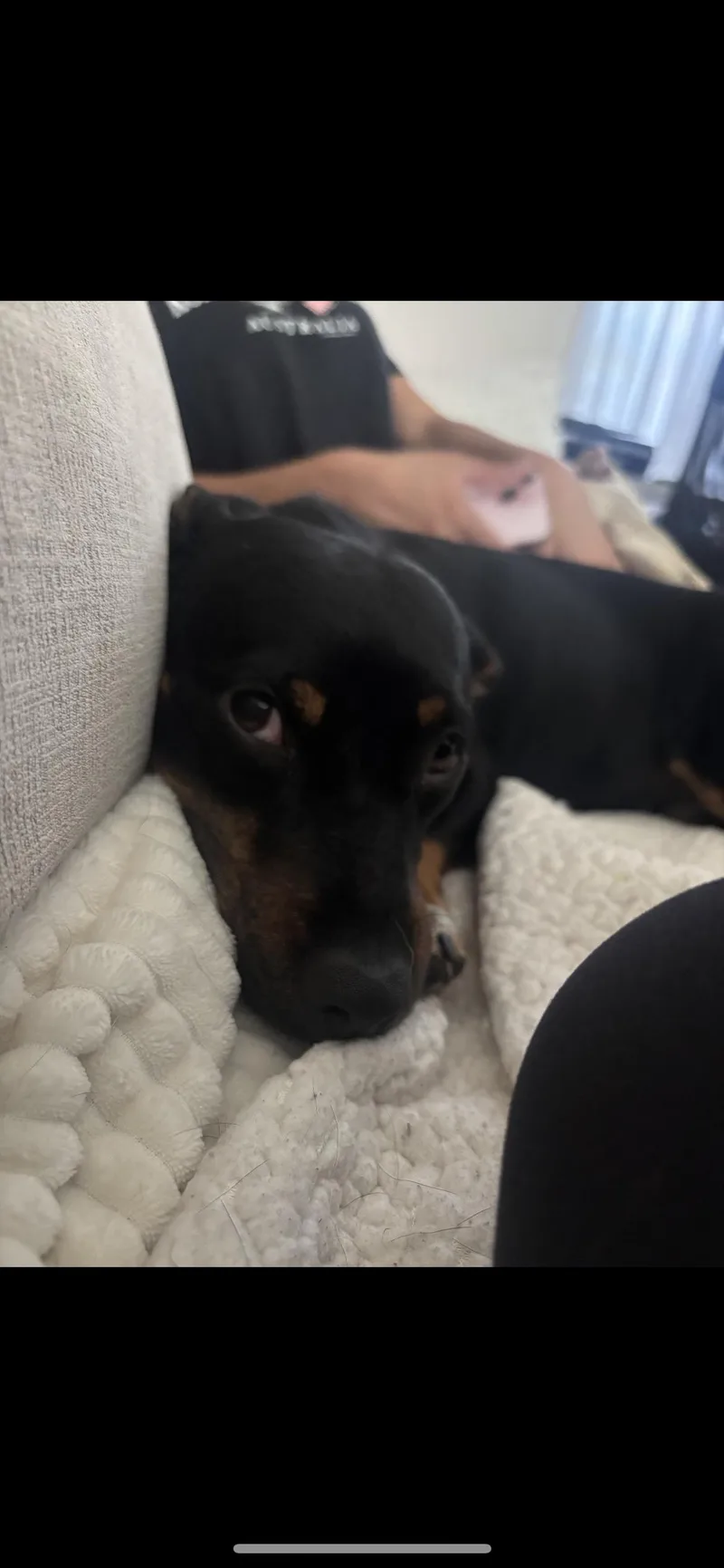 Pepper thumbnail 2