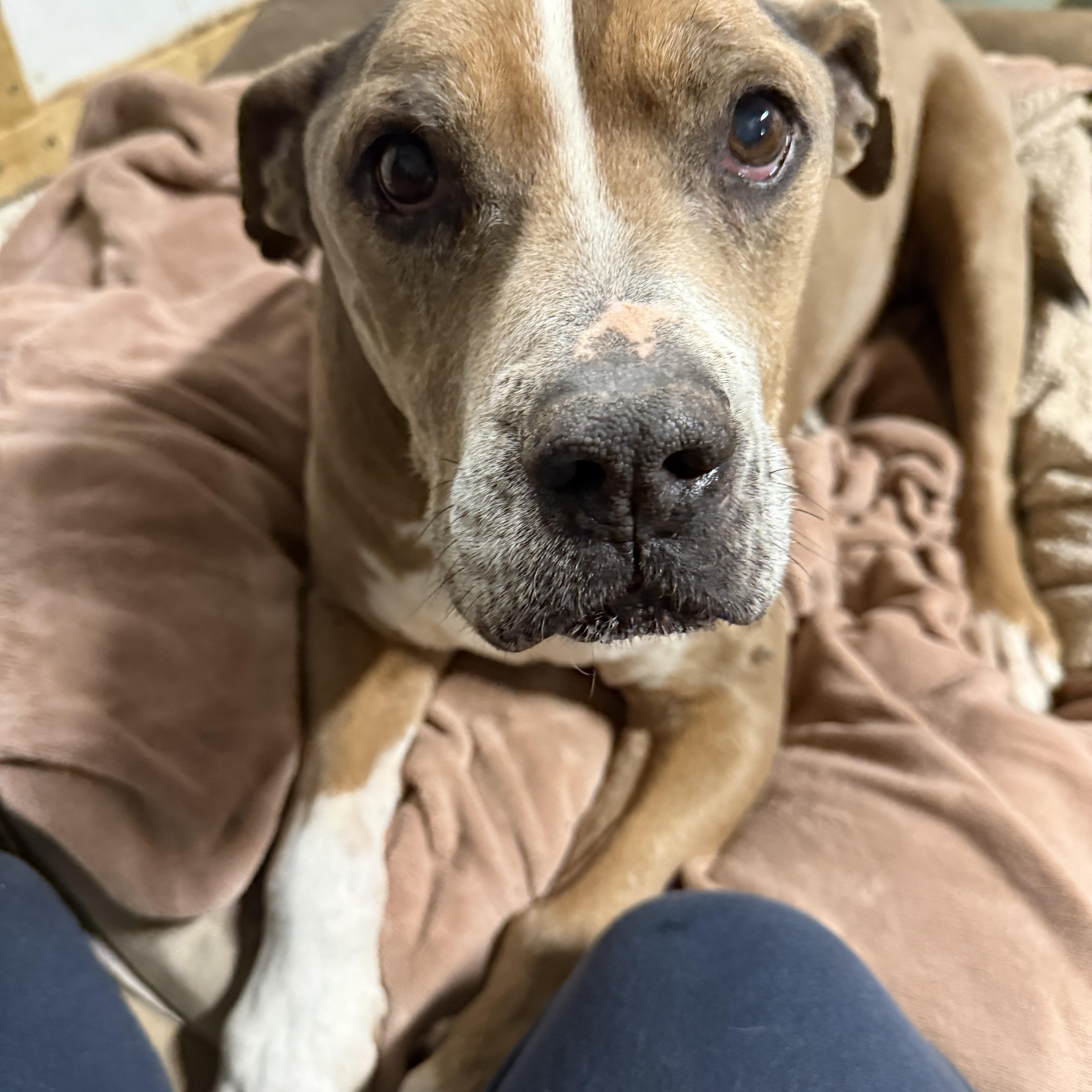 Hercules Edgar thumbnail 2