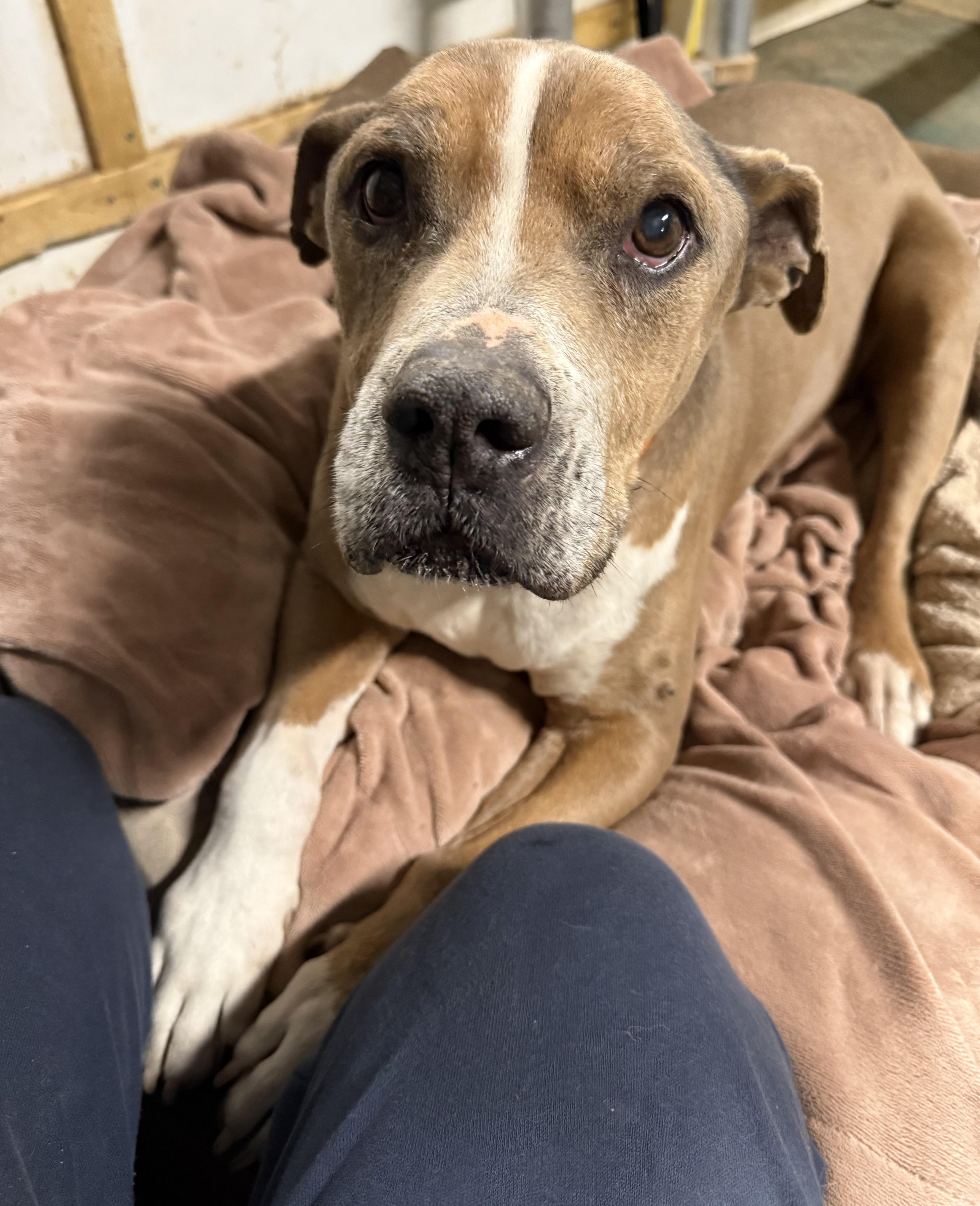 Hercules Edgar thumbnail 3