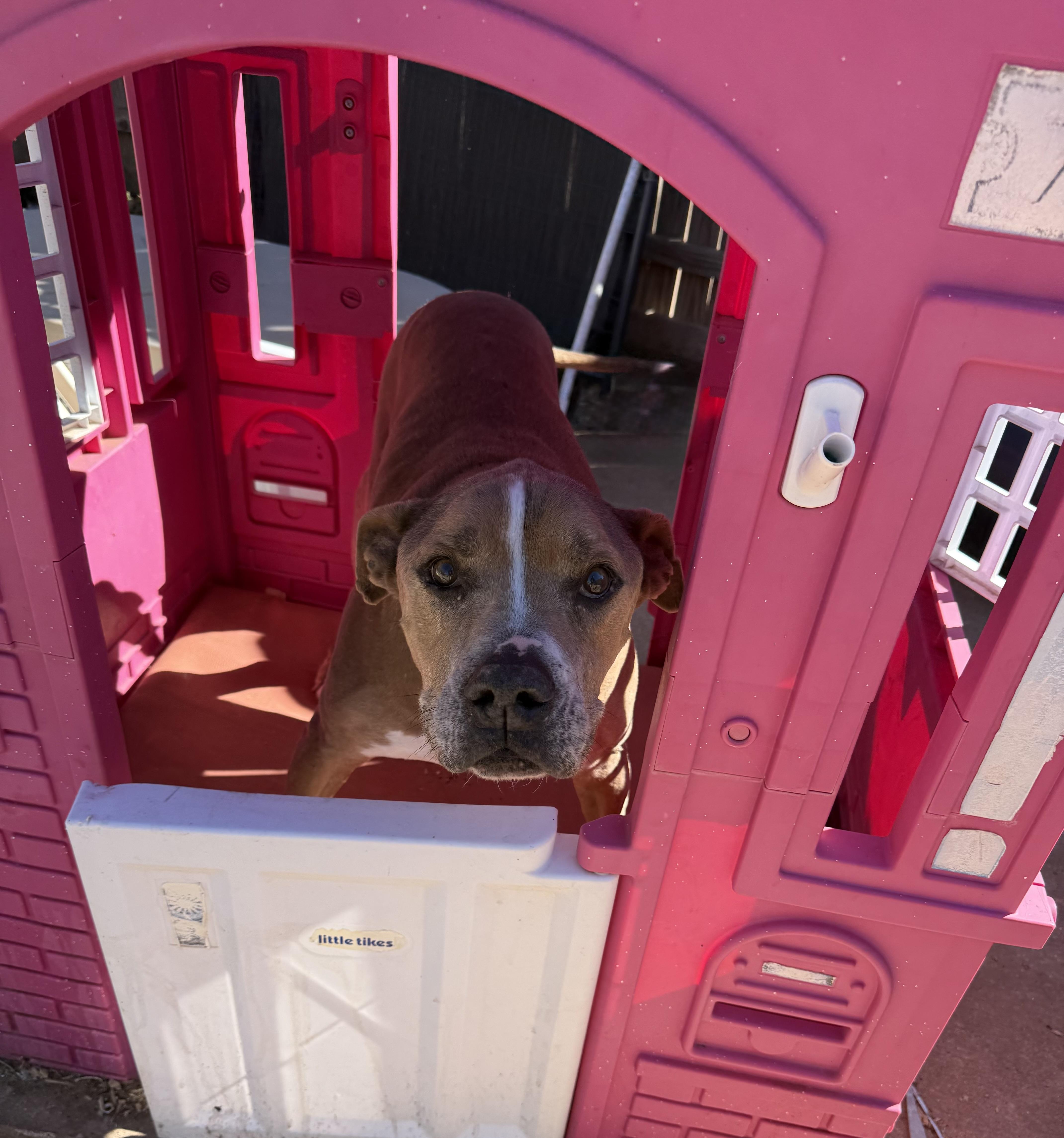 Hercules Edgar thumbnail 4