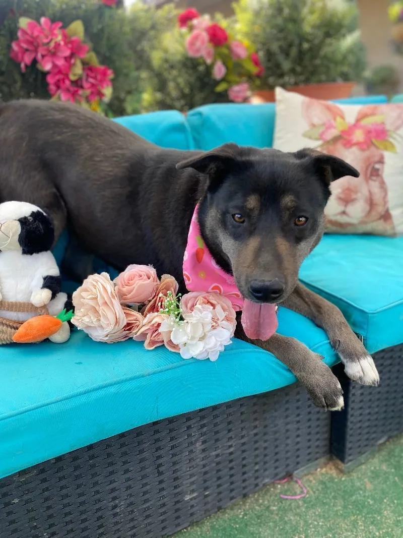 Beautiful Kayla thumbnail 2