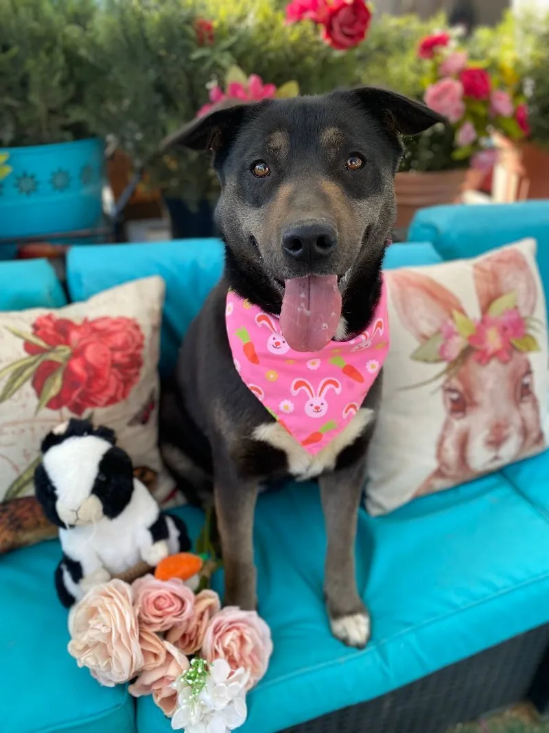 Beautiful Kayla thumbnail 3