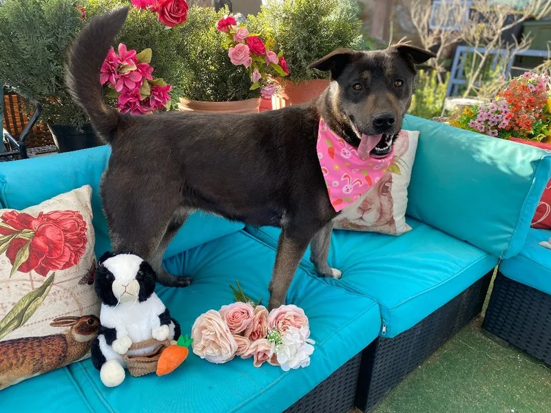 Beautiful Kayla thumbnail 4