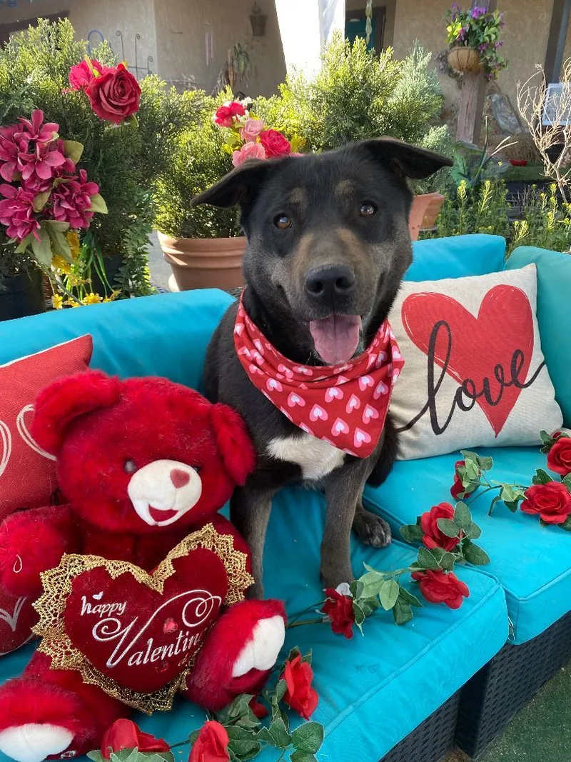 Beautiful Kayla thumbnail 5