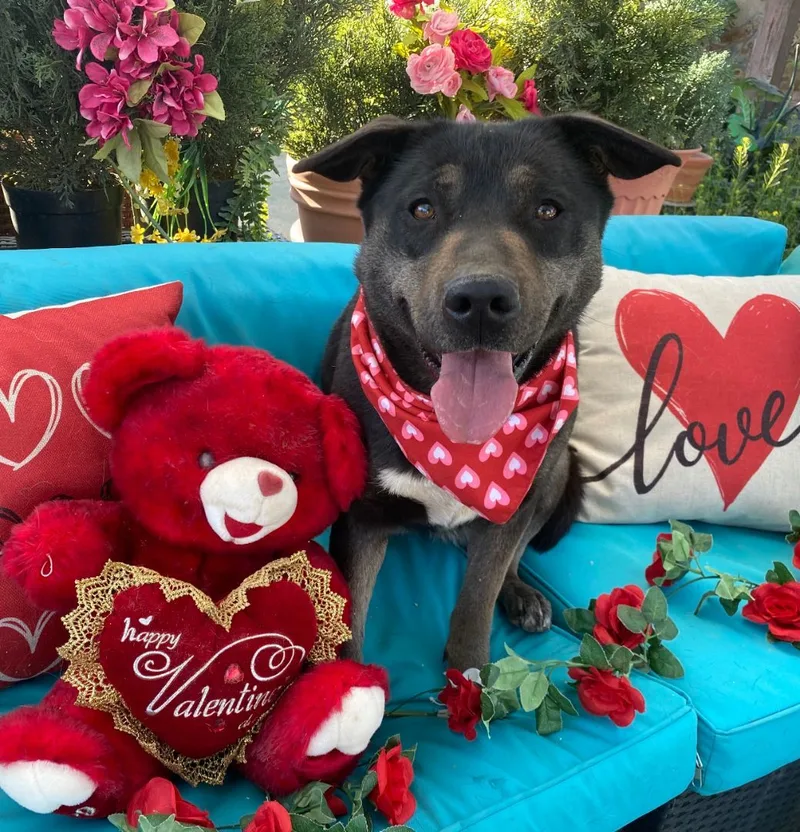 Beautiful Kayla thumbnail 6