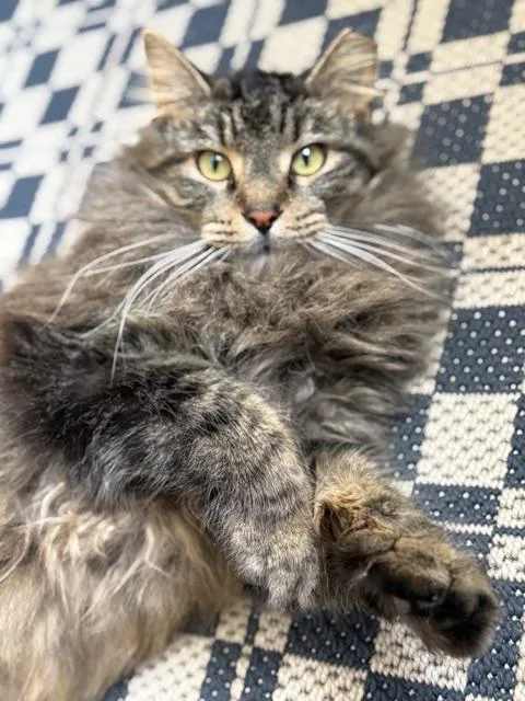 Bon Jovi thumbnail 2