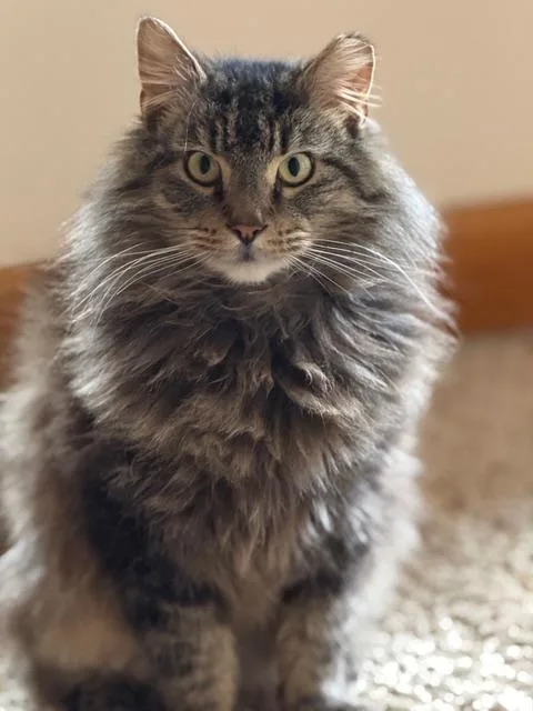 Bon Jovi thumbnail 3