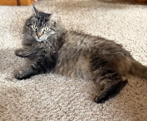 Bon Jovi thumbnail 5