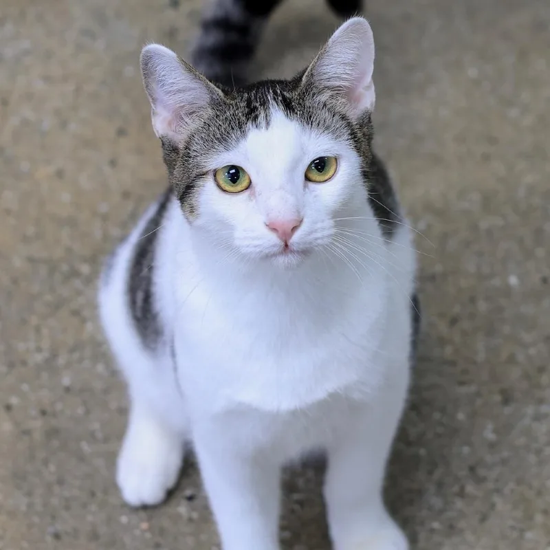 Chuckles thumbnail 4