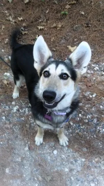 Lucille Lucy thumbnail 4