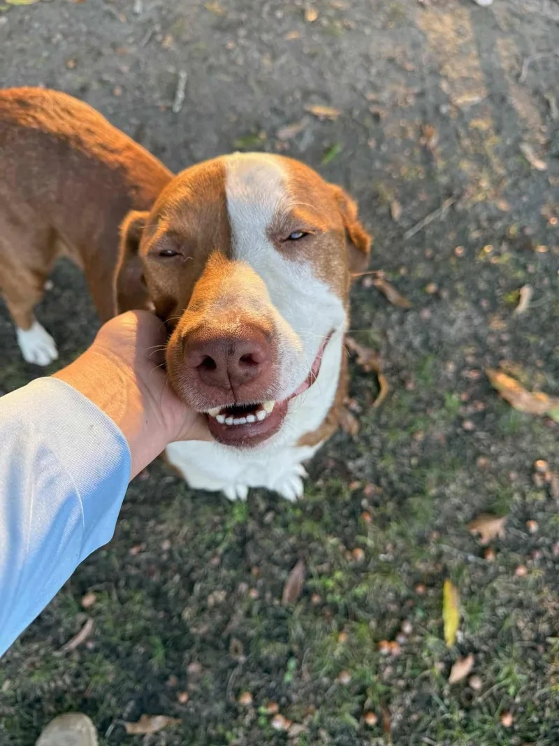 Eli & Luchee thumbnail 2