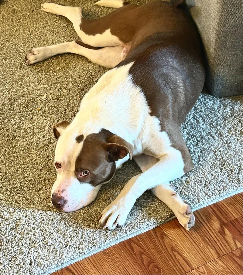 Eli & Luchee thumbnail 3