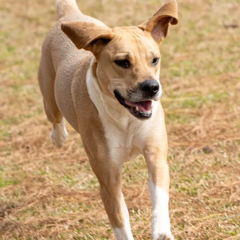 Baby Girl thumbnail 2