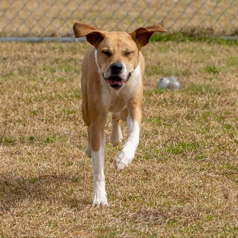 Baby Girl thumbnail 3