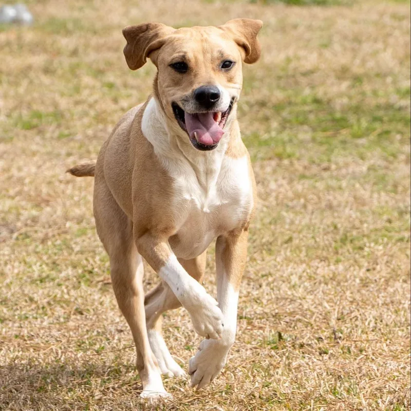 Baby Girl thumbnail 4