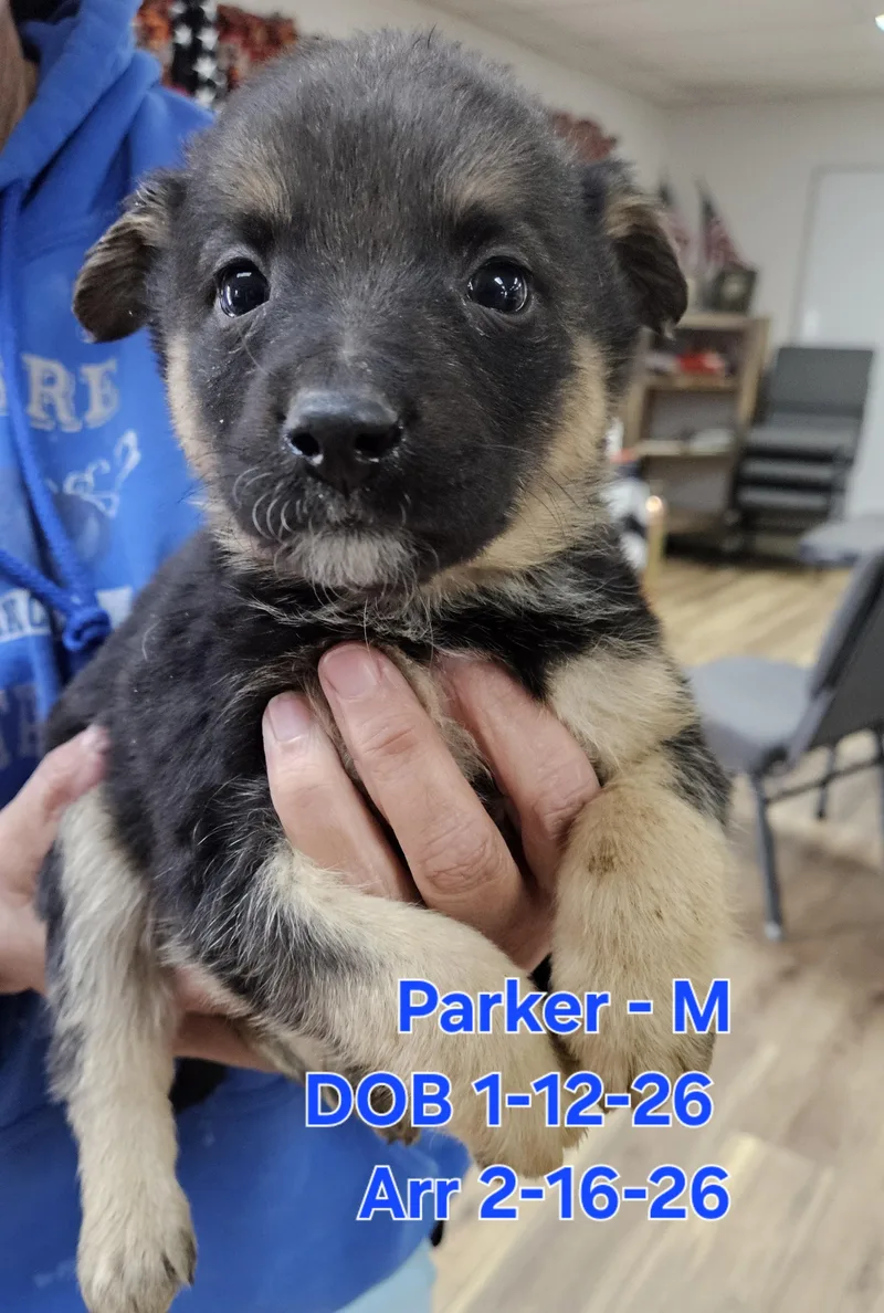 Parker