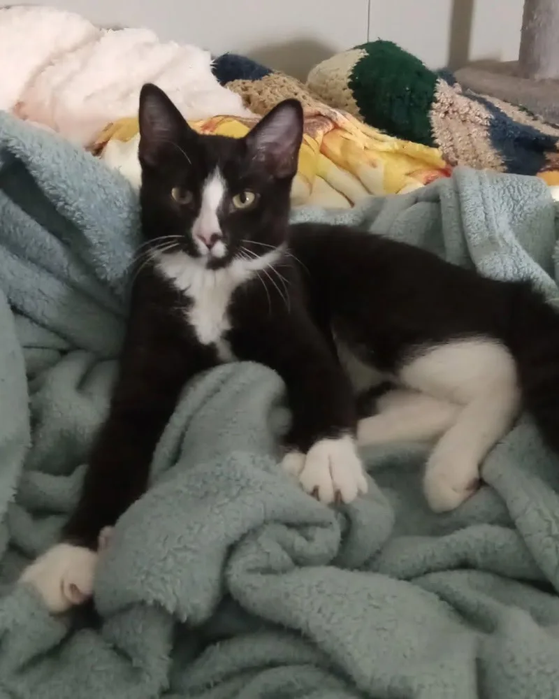 PepperJack