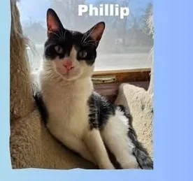 Phillip