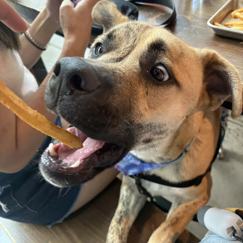 Wally Vi thumbnail 2