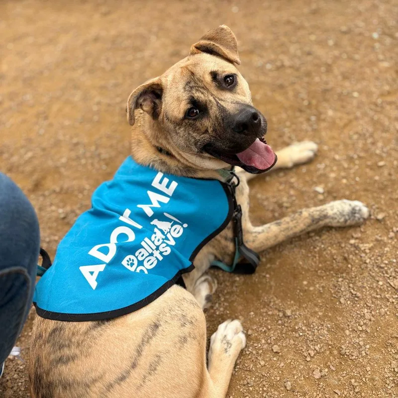 Wally Vi thumbnail 3