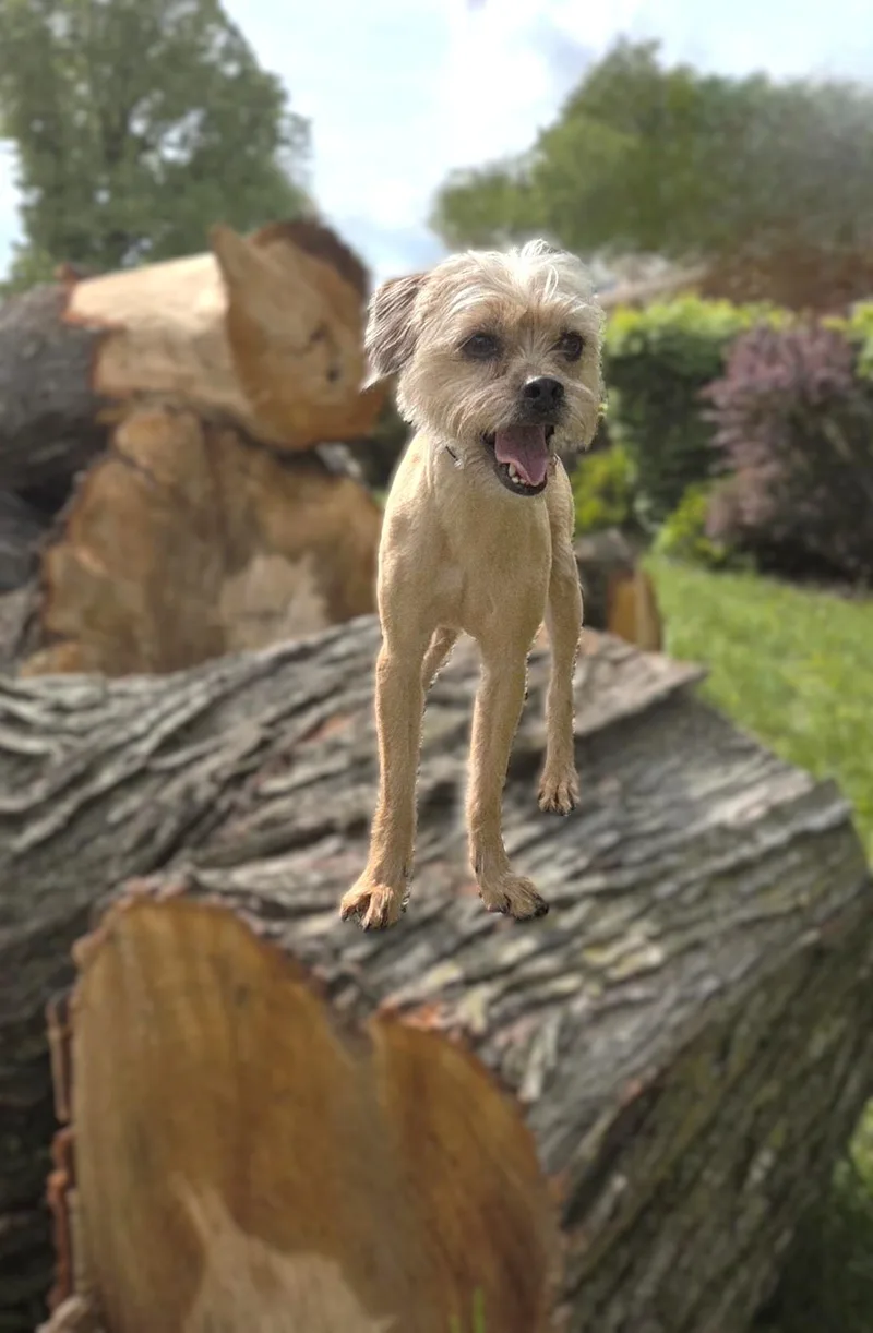 Little Bit thumbnail 2