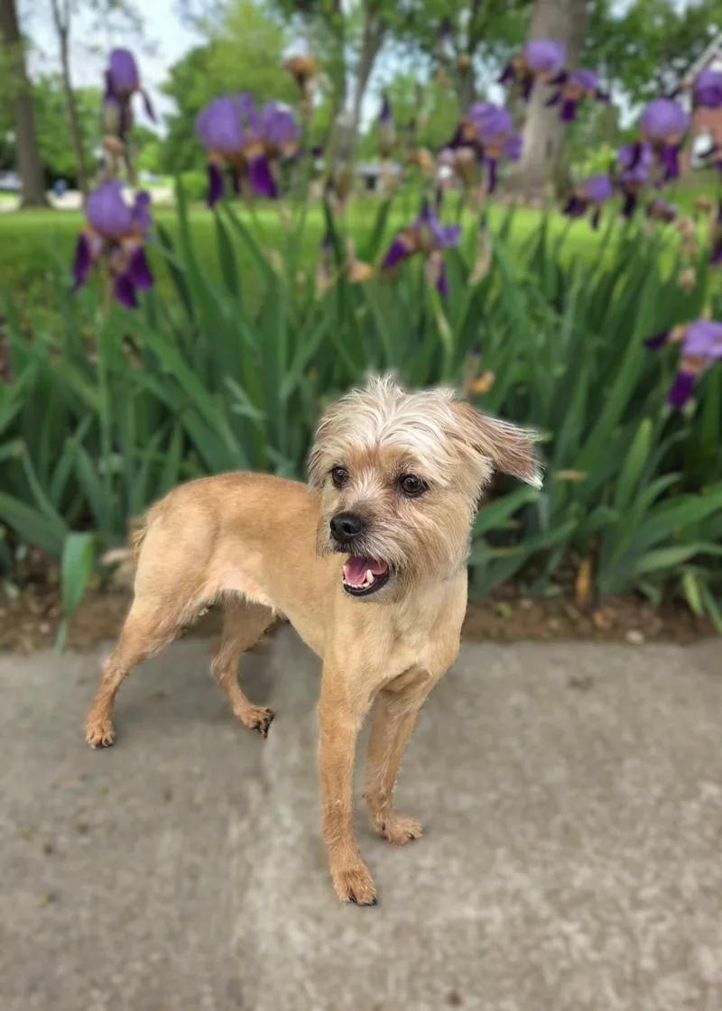 Little Bit thumbnail 3