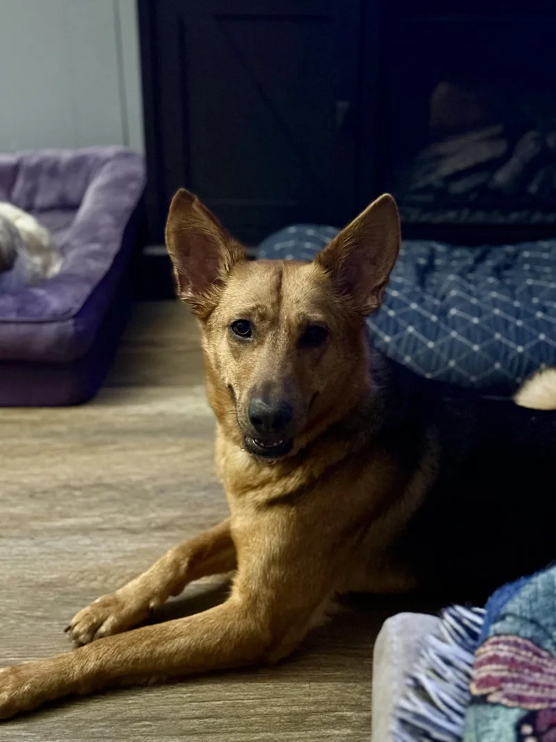 Xena thumbnail 2