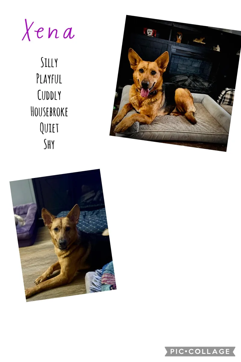 Xena thumbnail 5
