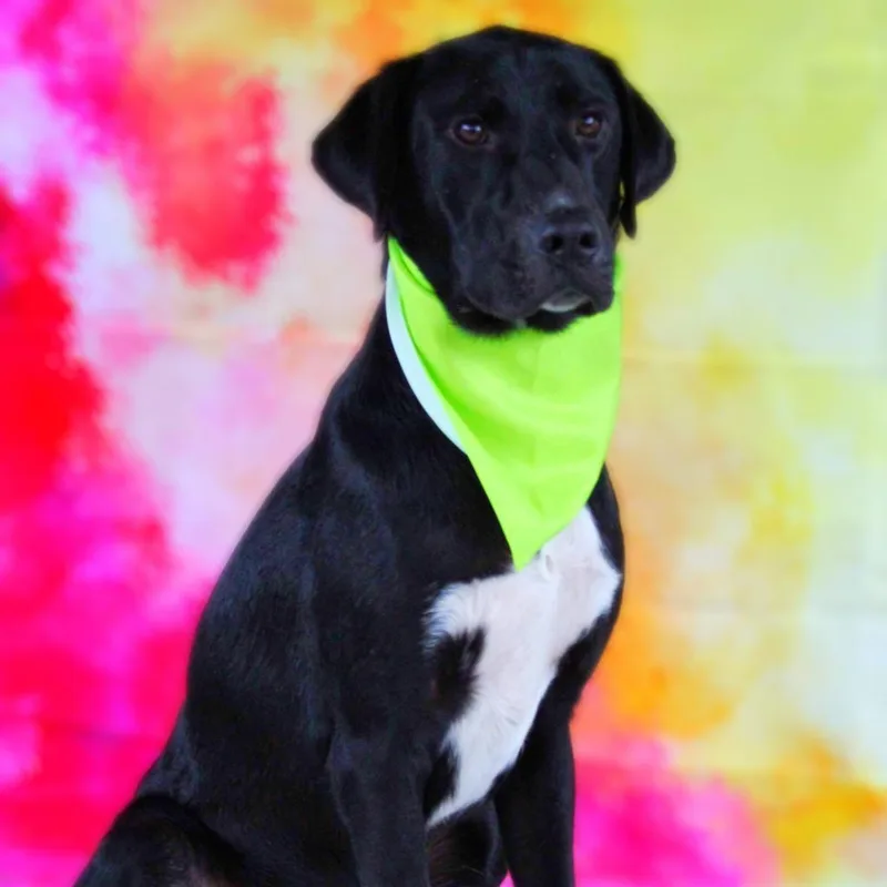 Bailey Jr thumbnail 2