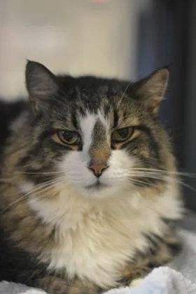 Bootsie thumbnail 3
