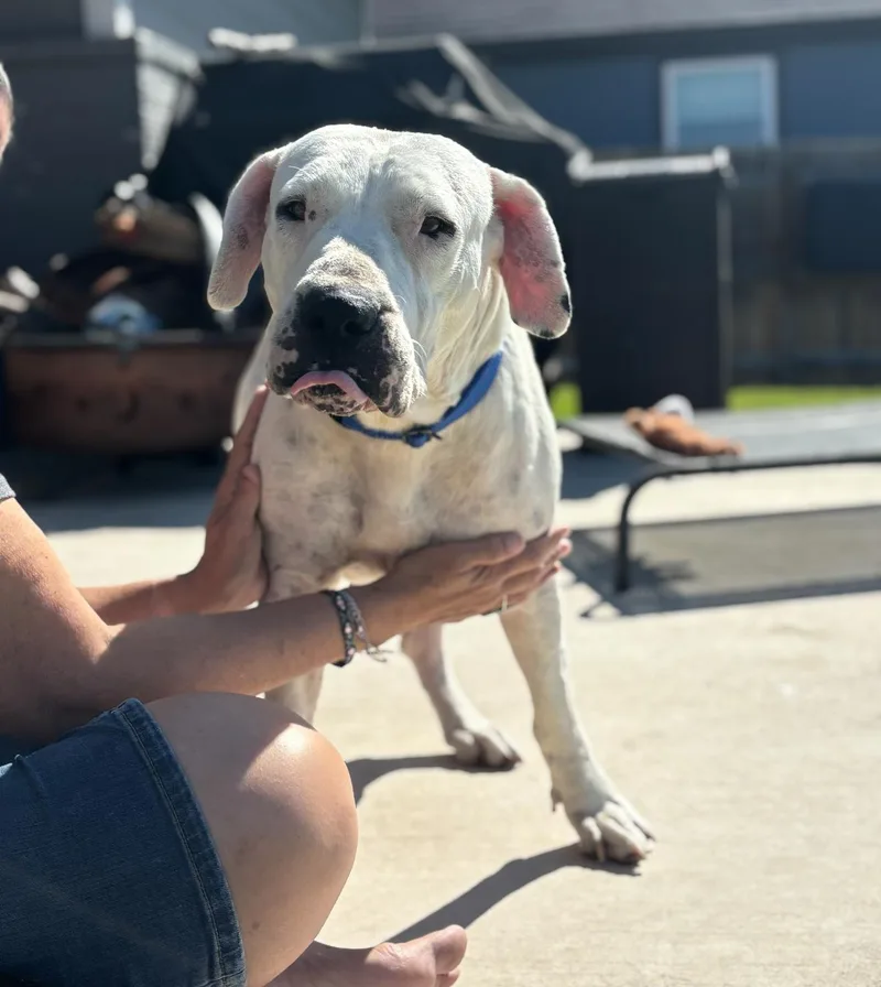 Winnie