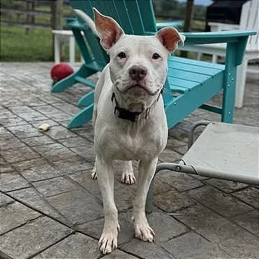 Penelope"pinky" thumbnail 2