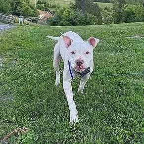 Penelope"pinky" thumbnail 3