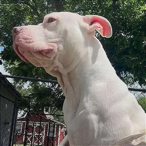 Penelope"pinky" thumbnail 5