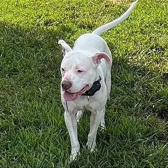 Penelope"pinky" thumbnail 6