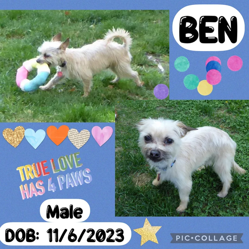 Ben