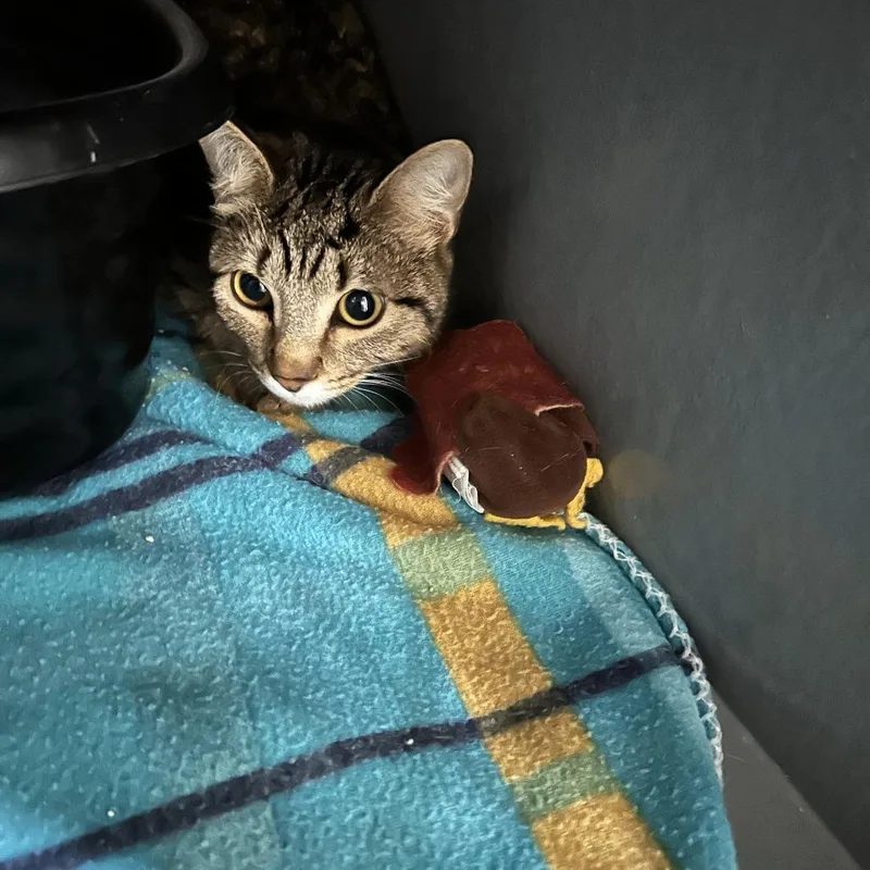 Sasha Colby thumbnail 2