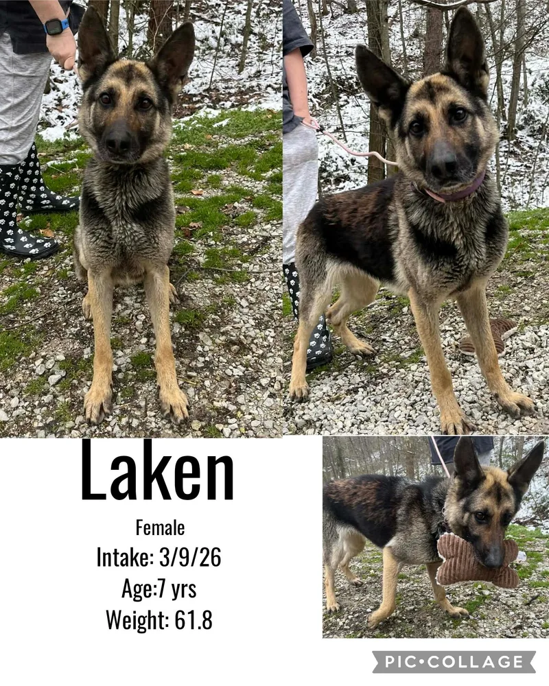 Laken