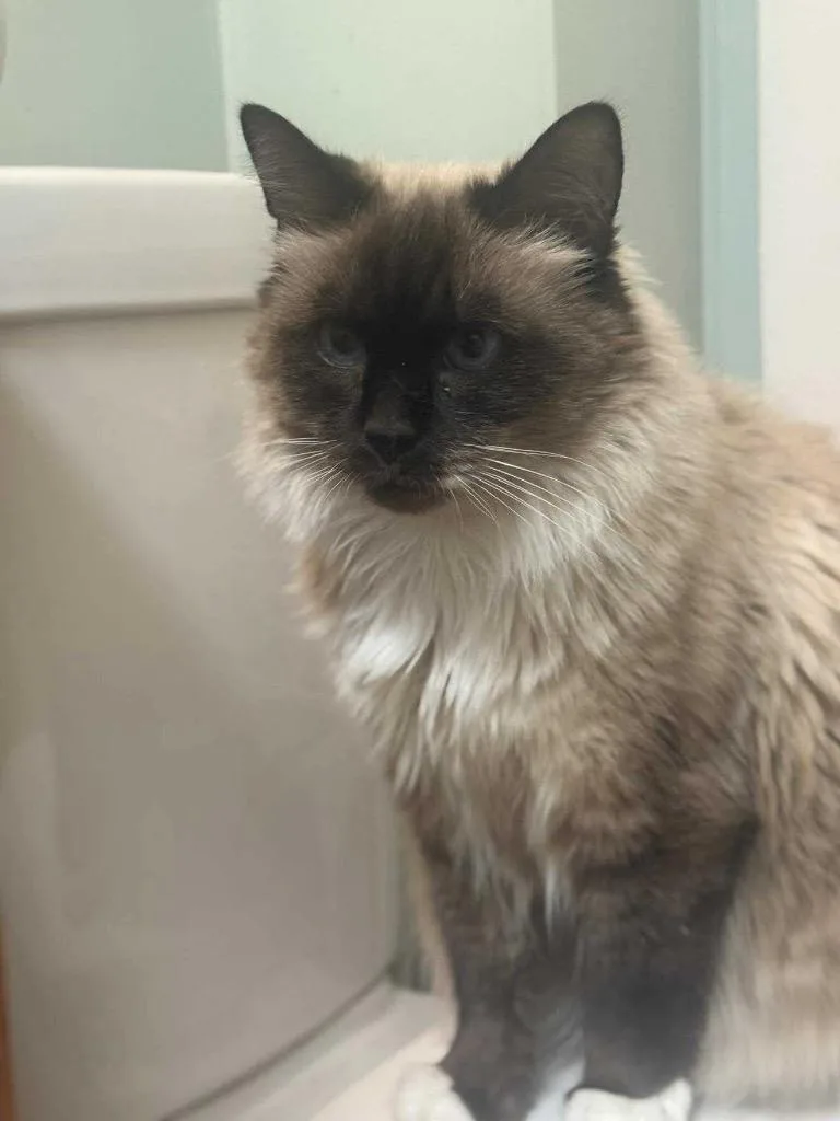 Sylvia Green thumbnail 2