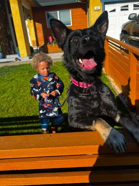 Ruby