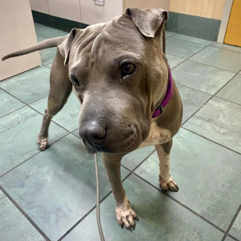 Charismatic Chance thumbnail 2