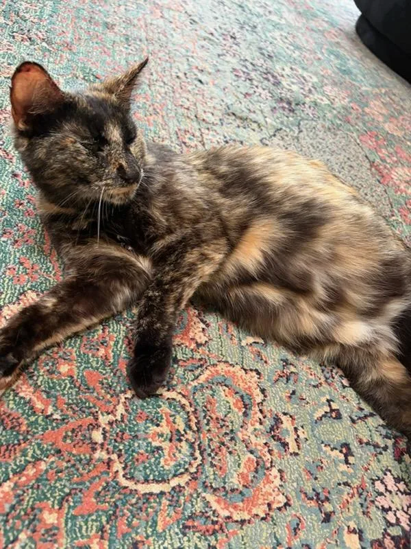 Cleo thumbnail 2