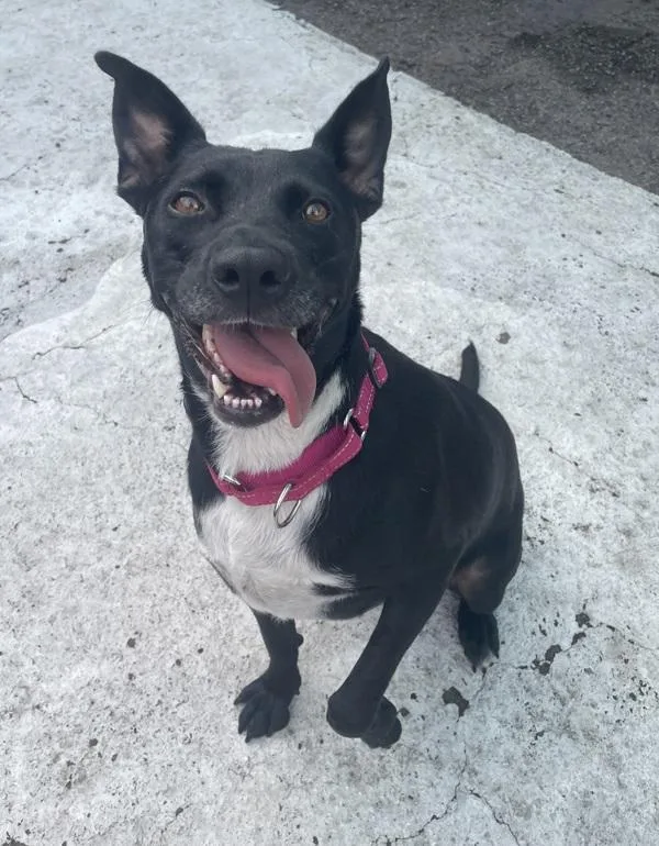 Luna